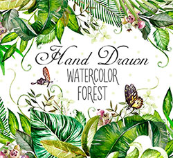 171张高清背景透明的北欧风水彩森林植物PNG图片：Hand Drawn watercolor Forest